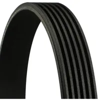 Continental Contitech Keilrippenriemen