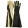 Dehn 785810 Arbeitshandschuh Größe (Handschuhe): 10 II 1