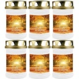 HS Candle Grabkerze GK-04210 (6-tlg), Grabkerze Brenndauer 48 Stunden mit Motiven