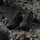 adidas Terrex Skychaser AX5 GTX Herren Core Black/Core Black/Carbon 42