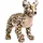 Uni Toys Uni-Toys - Savannah-Katze, liegend - 60 cm (Länge) - Plüsch-Serval - Plüschtier, Kuscheltier