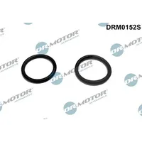 DR.MOTOR AUTOMOTIVE Dichtung, Heizflansch-Ansaugluftvorwärmung