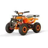 NITRO MOTORS 1200W Eco mini Kinder Quad Dusty BTF Profile XL, Farbe:Rot