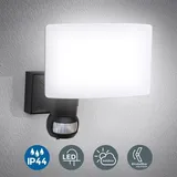 B.K.Licht LED Außenleuchte schwarz 20W
