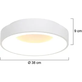 Steinhauer Ringlede 1 LED rund weiß matt