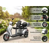 ECONELO E-Seniorenmobil Billy 2.0 3-Rad 1000 Watt Silber/Grau