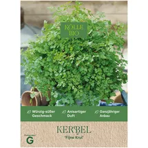 Sperli Kölle Bio Saatgut Kerbel Fijne Krul', grün