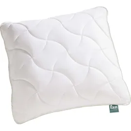 Frankenstolz f.a.n. Schlafkomfort Green »Tegernsee« Bettdecke Duo-Steppbett 200x200 cm 1450g