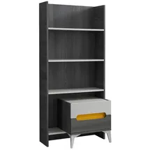 JV Möbel Kinderbücherregal Grau 42 x 165 x 75 cm Holz grau