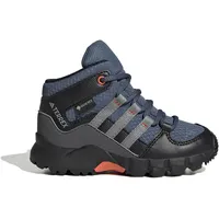 Adidas Terrex Mid GTX Kids Wonder Steel/Grey Three/Semi Impact