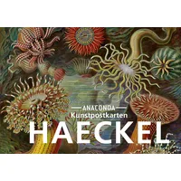 Anaconda Postkarten-Set Ernst Haeckel