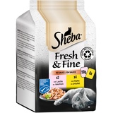 Sheba Fresh & Fine in Sauce Hochwertiges Katzen Nassfutter Huhn Lachs (MSC) - Für die tägliche Abwechslung im extra kleinen Portionsbeutel - 36 x 50g