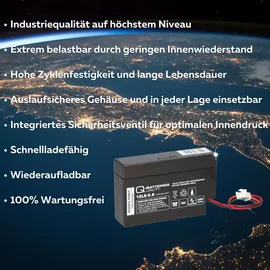 Q-Batteries 12LS 12V 800 mAh 1 St.