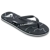 QUIKSILVER Molokai Art 25 / Flip-Flops for Men -