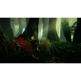The Witcher 2: Assassins of Kings (Software Pyramide) (PC)