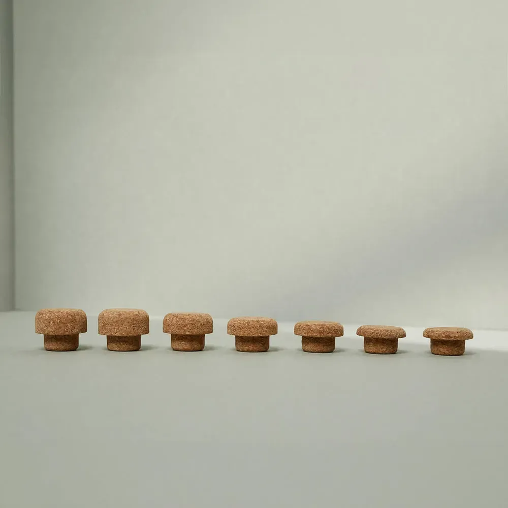 liebscher bracht kieferretter