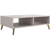 Mirjan24 Couchtisch, Kaschmir, Gold, 1 Fächer, Rechteckig,Rechteckig, 100x32x60 cm,