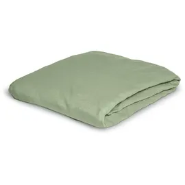 IRISETTE Spannbettlaken Jersey 180 x 200 cm grün