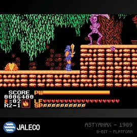 Jaleco Collection 1 Evercade