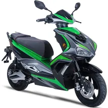 GT UNION E3000 3000 Watt 45 km grün