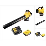 DeWalt DCM562P1