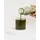 Buxtrade Bio Gerstengraspulver 10 kg