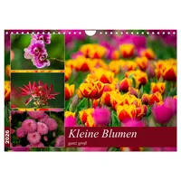 Calvendo Kleine Blumen ganz groß (Wandkalender 2026 DIN A4