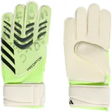adidas Predator Match Grün 10