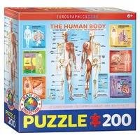 Eurographics The Human Body (6200-1000)