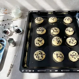 ICQN 445 x 375 x 35 mm, Gitter Set | Passend für Whirlpool Ignis Bauknecht, × Emailliert × Fettpfanne | Verchromt Backofenrost und Emaille...