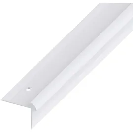 Alfer Treppen-Abschluss-Profil 1 m, 40 x 30 x 5 mm Alu eloxiert silber