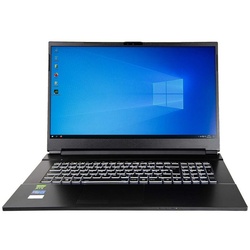dcl24.de Gaming-Notebook (43,90 cm/17.3 Zoll, Intel Core i5 Intel Core i5-10300H, RTX 3060, 2000 GB SSD) schwarz 2000 GB