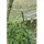 Juliana Magnum 148 Alu HKP 6 mm 11,5 m2