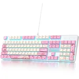 SOLIDEE Verkabelte mechanische Gaming-Tastatur in voller Größe,104 Tasten kabelgebundene Tastatur,RGB Hintergrundbeleuchtung&Nummernblock,NKRO mechanische Tastatur für Windows Laptop(104 Flower)