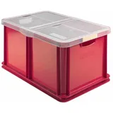 Heidrun Eurobox Aufbewahrungsbox 59 x 39 x 30 cm 30-tlg. transparent