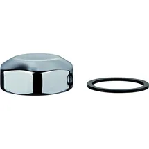 Grohe 43103 Deckel komplett für WC-Druckspüler