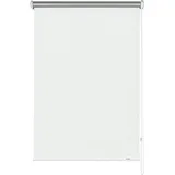 GARDINIA Seitenzug-Rollo Thermo 102 x 180 cm Weiß