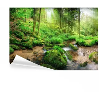 decomonkey Fototapete selbstklebend Wald 343x256 cm XL Selbstklebende Tapeten Wand Fototapeten Tapete Wandtapete klebend Klebefolie Natur Landschaft