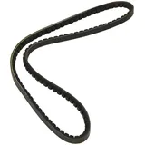 DAYCO Gürtel Keilrippenriemen