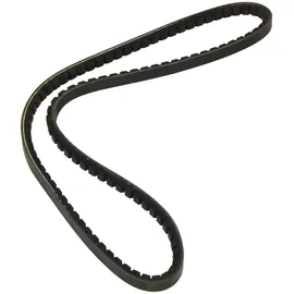 DAYCO Gürtel Keilrippenriemen