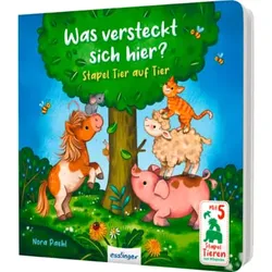 Thienemann Was versteckt sich hier?