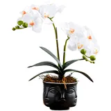 SYDDOL weiß Künstliche Orchideen Bonsai 35 cm Hoch Künstliche Phalaenopsis Blumengesteck Real Touch Feuchtigkeitsspendende Künstliche Orchideen im Keramik Zen Topf für Tischdeko Raumdekoration