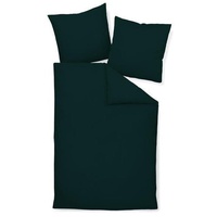 Janine Colors 31001
