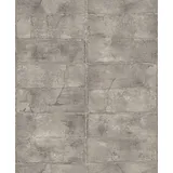 Rasch Textil Vliestapete Concrete 10,05 m x 0,53 m 520156 Grau/Braun