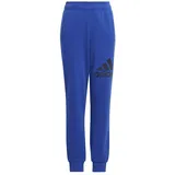 Adidas adidas, Essentials Big Logo, Jogginghose, Halbkluge Blau/Legendekinte, 1112, Unisex-Adult