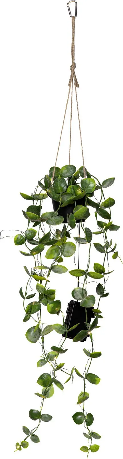 STAR TRADING Kunstpflanze Eukalyptus mit LED-Lichterkette LAOS - B/H/T ca. 10.00x60.00x10.00