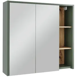 Vicco Viola 80 cm grün