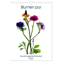 Calvendo Blumen pur (Wandkalender 2026 DIN A4 hoch), CALVENDO