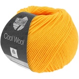 LANA GROSSA COOL WOOL