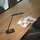 just light. LED Tischleuchte Schwarz